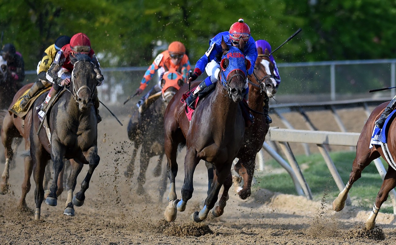 Is Sports Betting Lucrative
